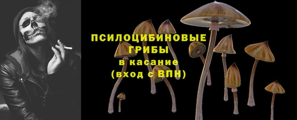 сатива Магадан